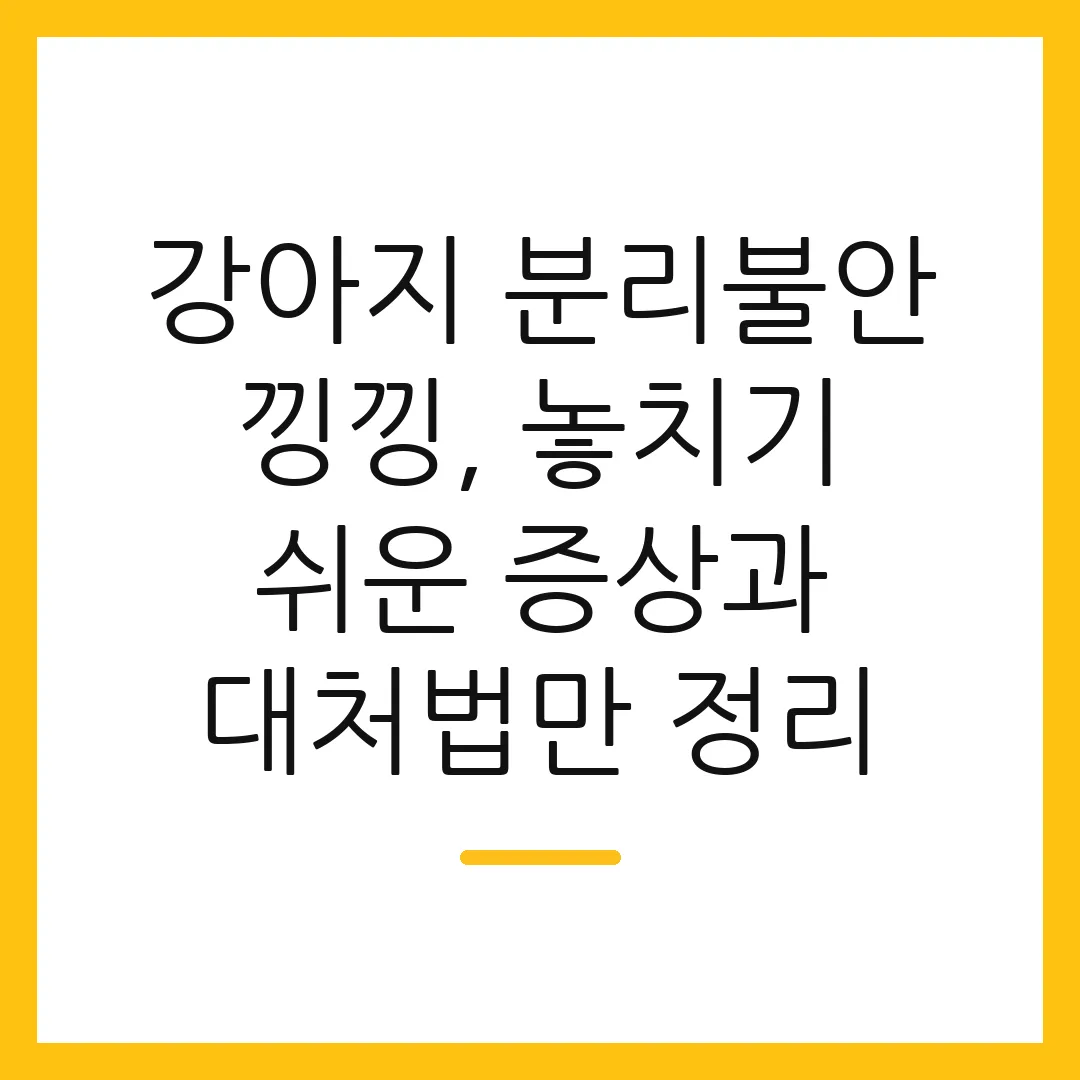 강아지 분리불안 낑낑, 놓치기 쉬운 증상과 대처법만 정리