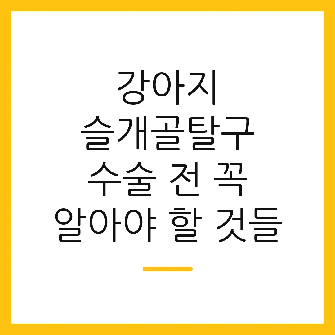 강아지 슬개골탈구 수술 전 꼭 알아야 할 것들 2 강아지 슬개골탈구 수술 전 꼭 알아야 할 것들