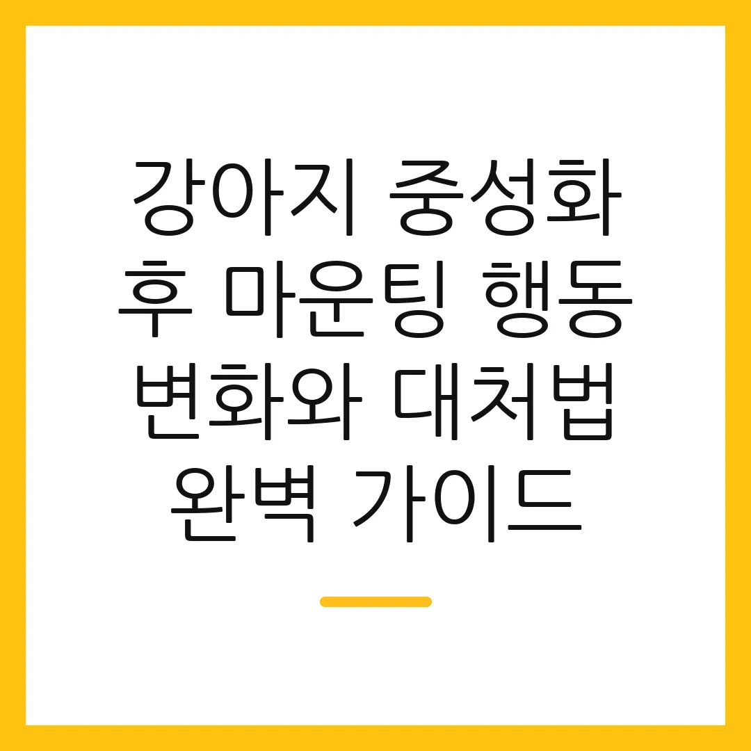 강아지 중성화 후 마운팅 행동 변화와 대처법 완벽 가이드