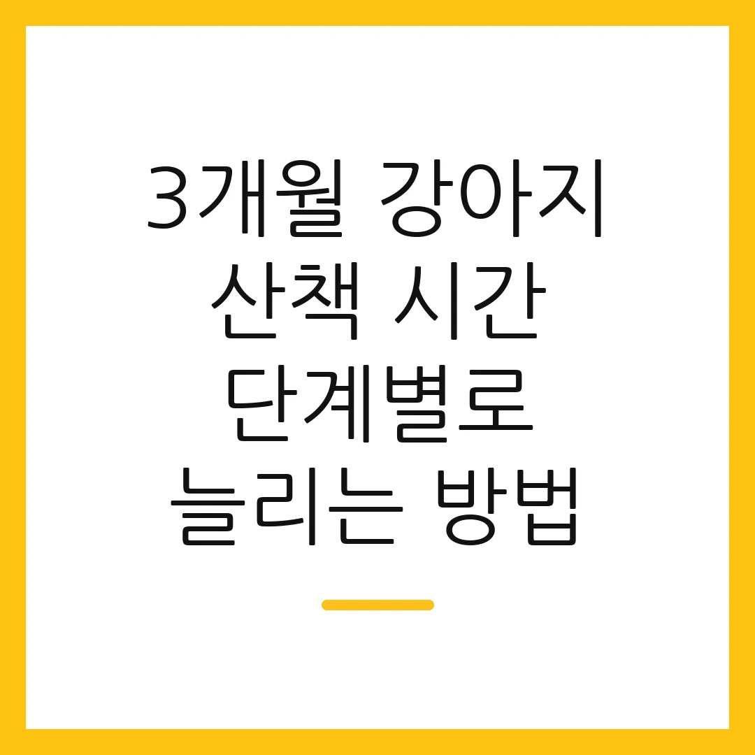 3개월 강아지 산책 시간 단계별로 늘리는 방법