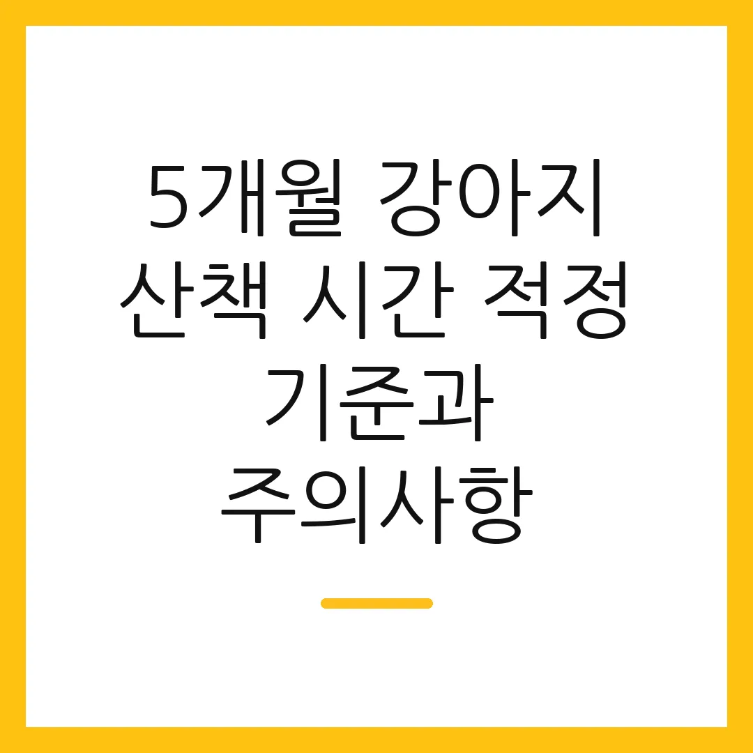 5개월 강아지 산책 시간 적정 기준과 주의사항