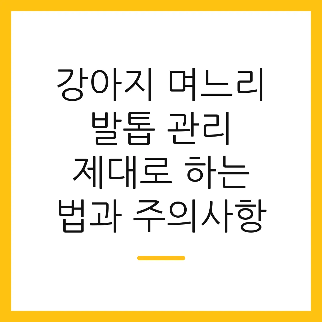 강아지 며느리 발톱 관리 제대로 하는 법과 주의사항