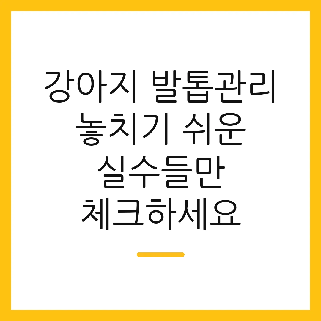 강아지 발톱관리 놓치기 쉬운 실수들만 체크하세요