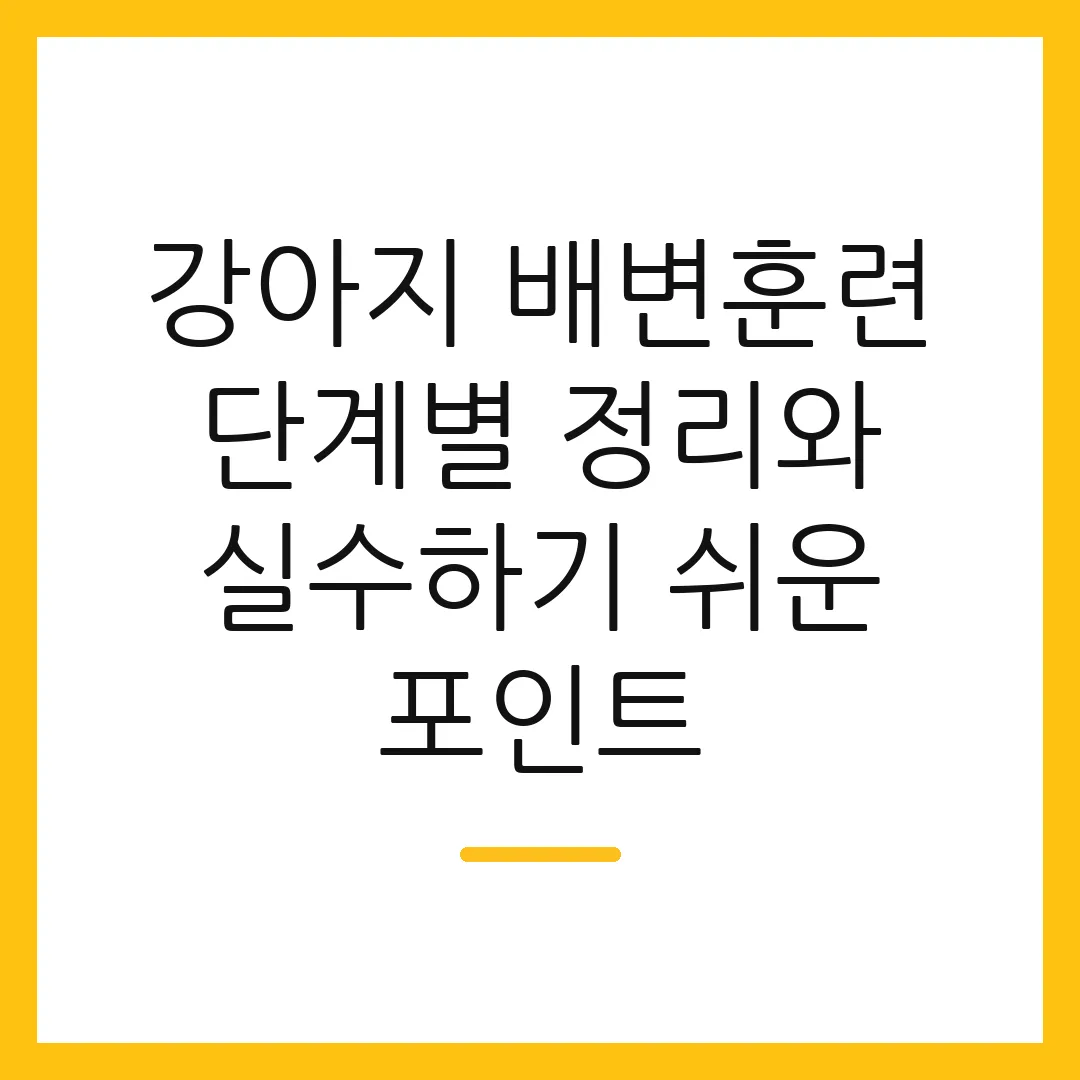 강아지 배변훈련 단계별 정리와 실수하기 쉬운 포인트