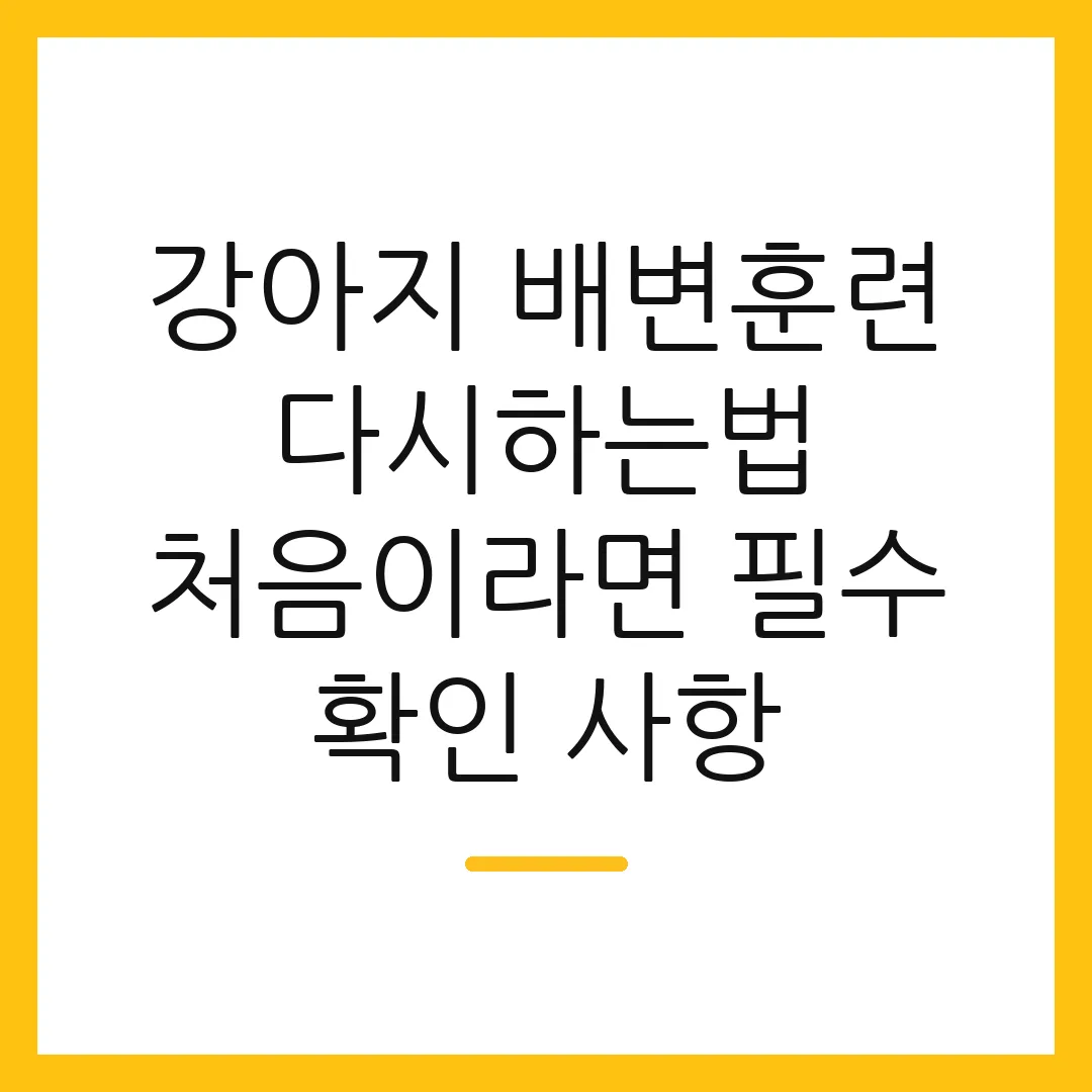 강아지 배변훈련 다시하는법 처음이라면 필수 확인 사항