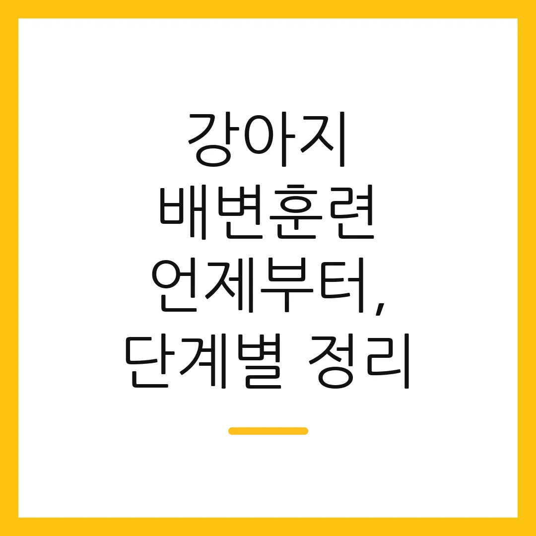 강아지 배변훈련 언제부터, 단계별 정리