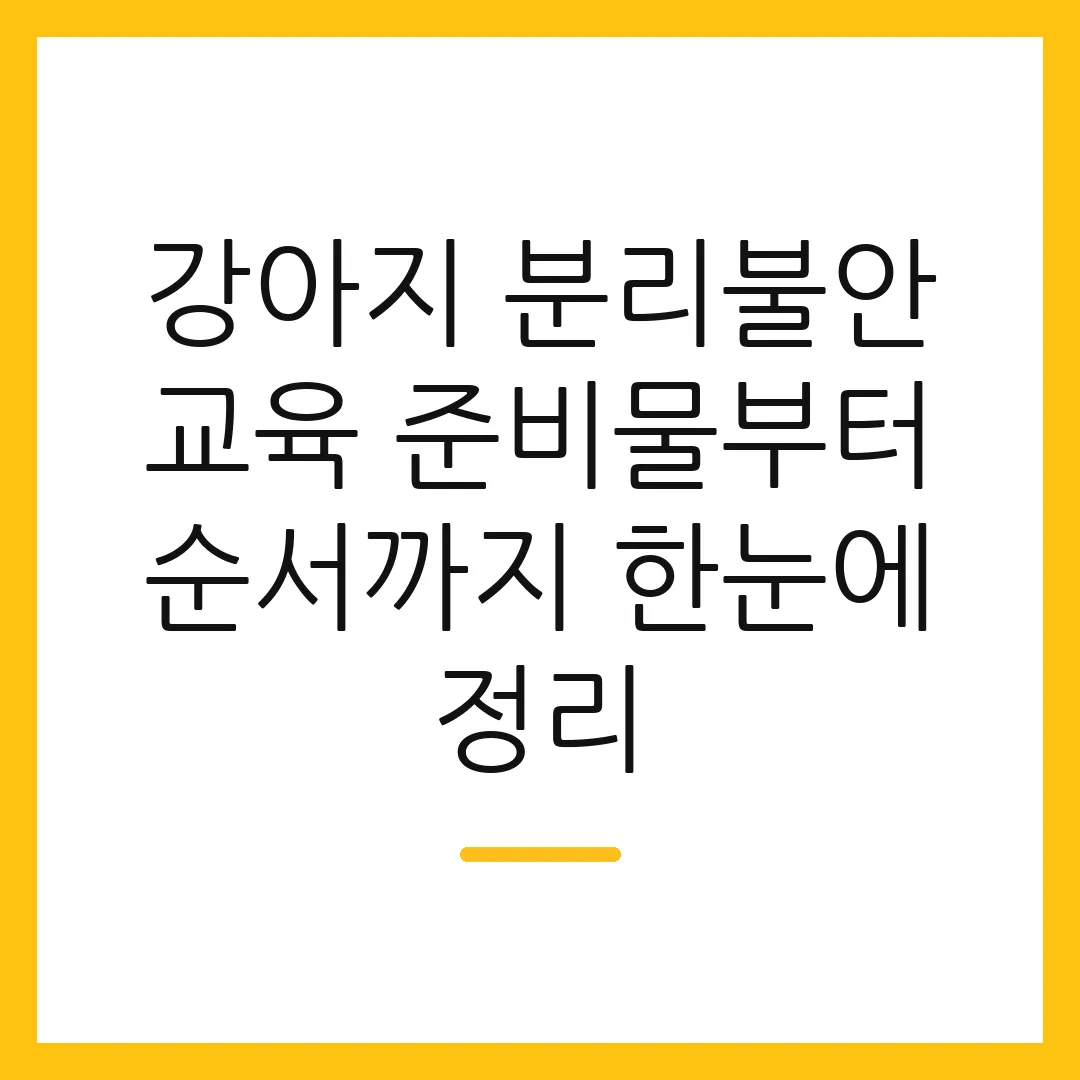 강아지 분리불안 교육 준비물부터 순서까지 한눈에 정리
