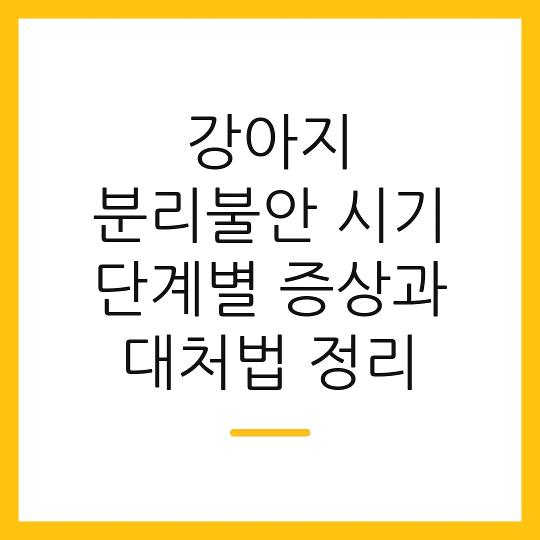 강아지 분리불안 시기 단계별 증상과 대처법 정리