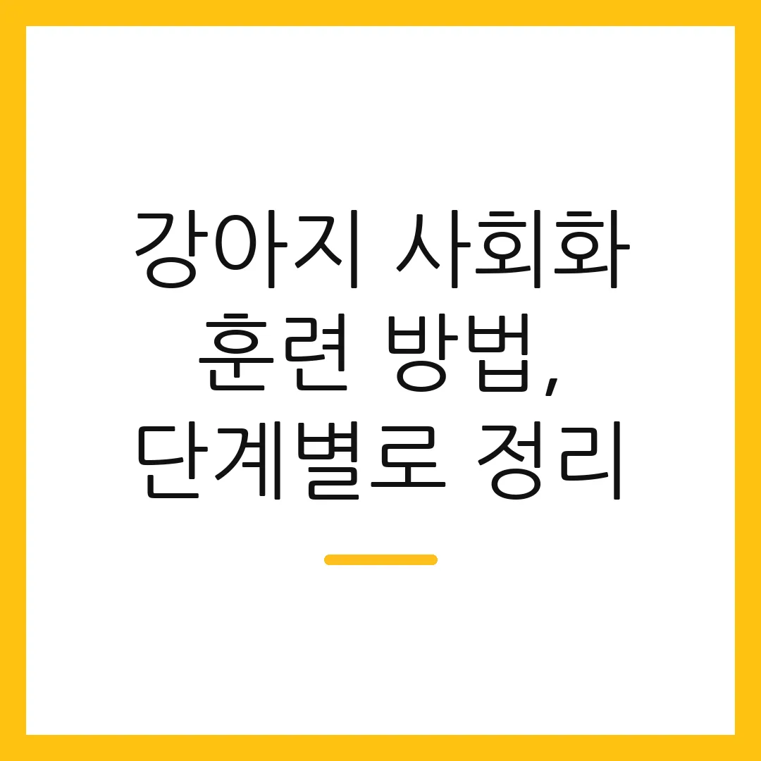 강아지 사회화 훈련 방법, 단계별로 정리