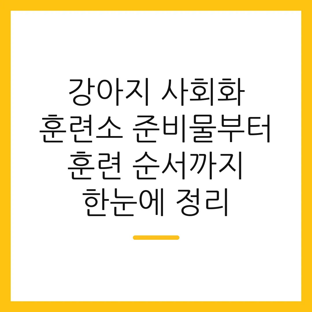 강아지 사회화 훈련소 준비물부터 훈련 순서까지 한눈에 정리 2 강아지 사회화 훈련소 준비물부터 훈련 순서까지 한눈에 정리