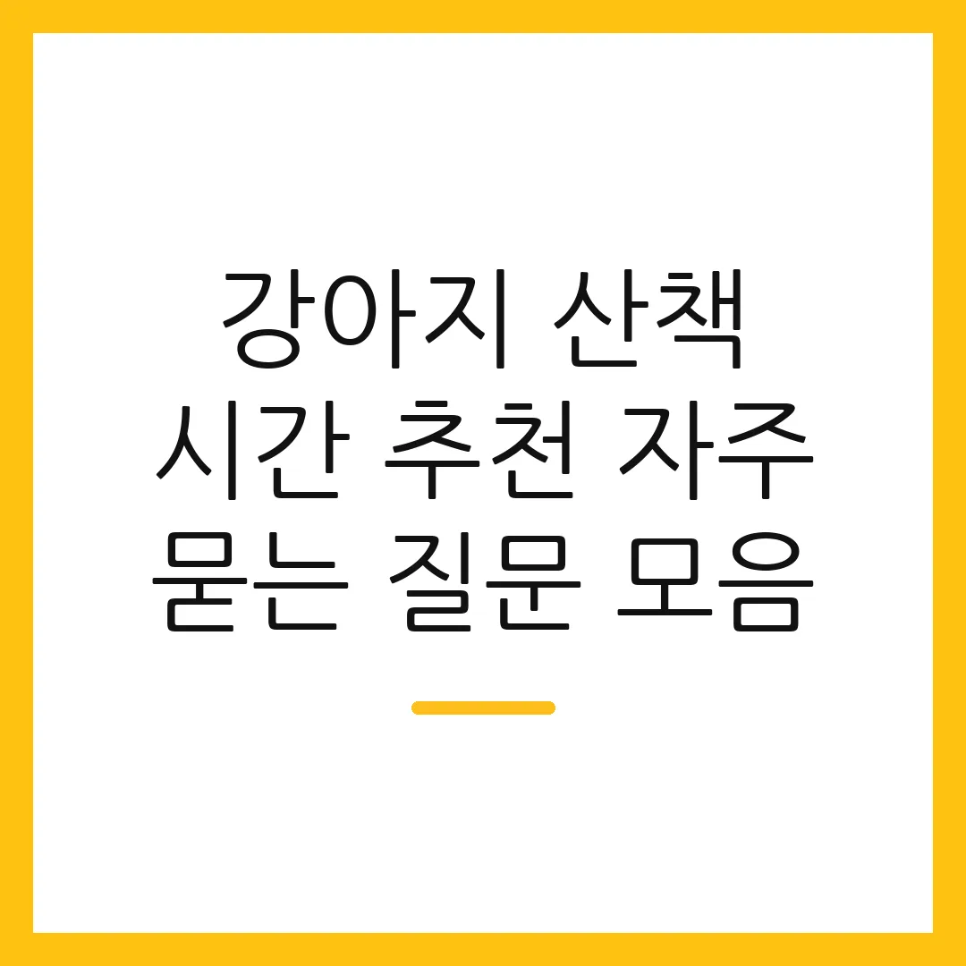 강아지 산책 시간 추천 자주 묻는 질문 모음