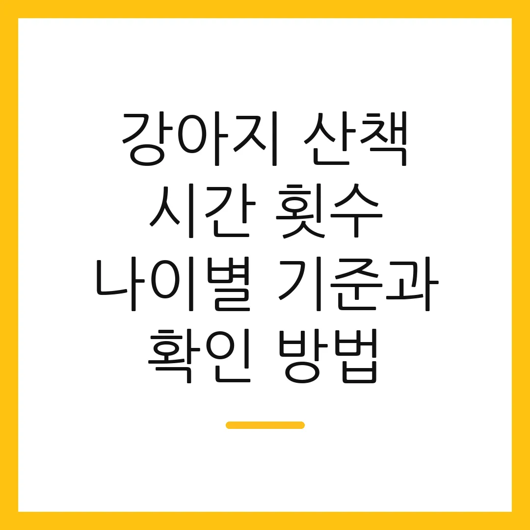 강아지 산책 시간 횟수 나이별 기준과 확인 방법