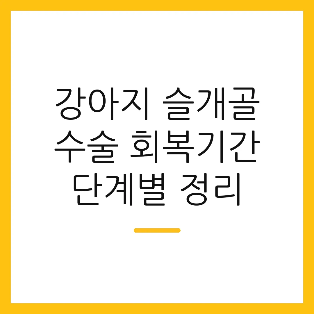 강아지 슬개골 수술 회복기간 단계별 정리