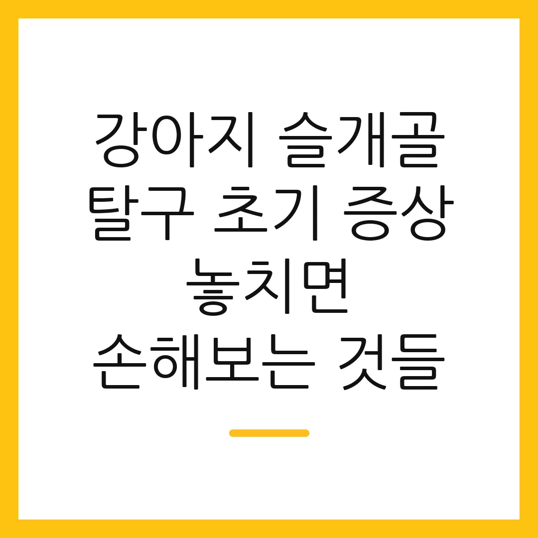 강아지 슬개골 탈구 초기 증상 놓치면 손해보는 것들