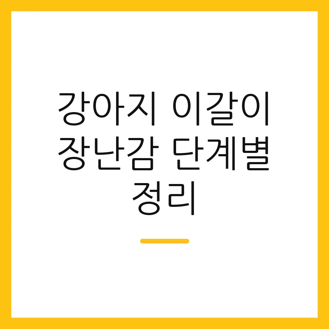 강아지 이갈이 장난감 단계별 정리