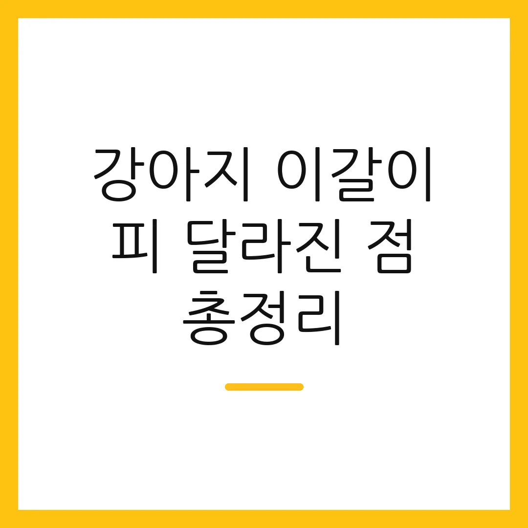 강아지 이갈이 피 달라진 점 총정리