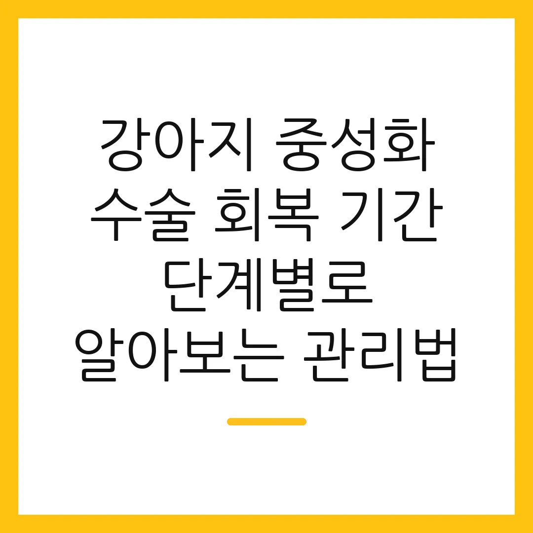 강아지 중성화 수술 회복 기간 단계별로 알아보는 관리법