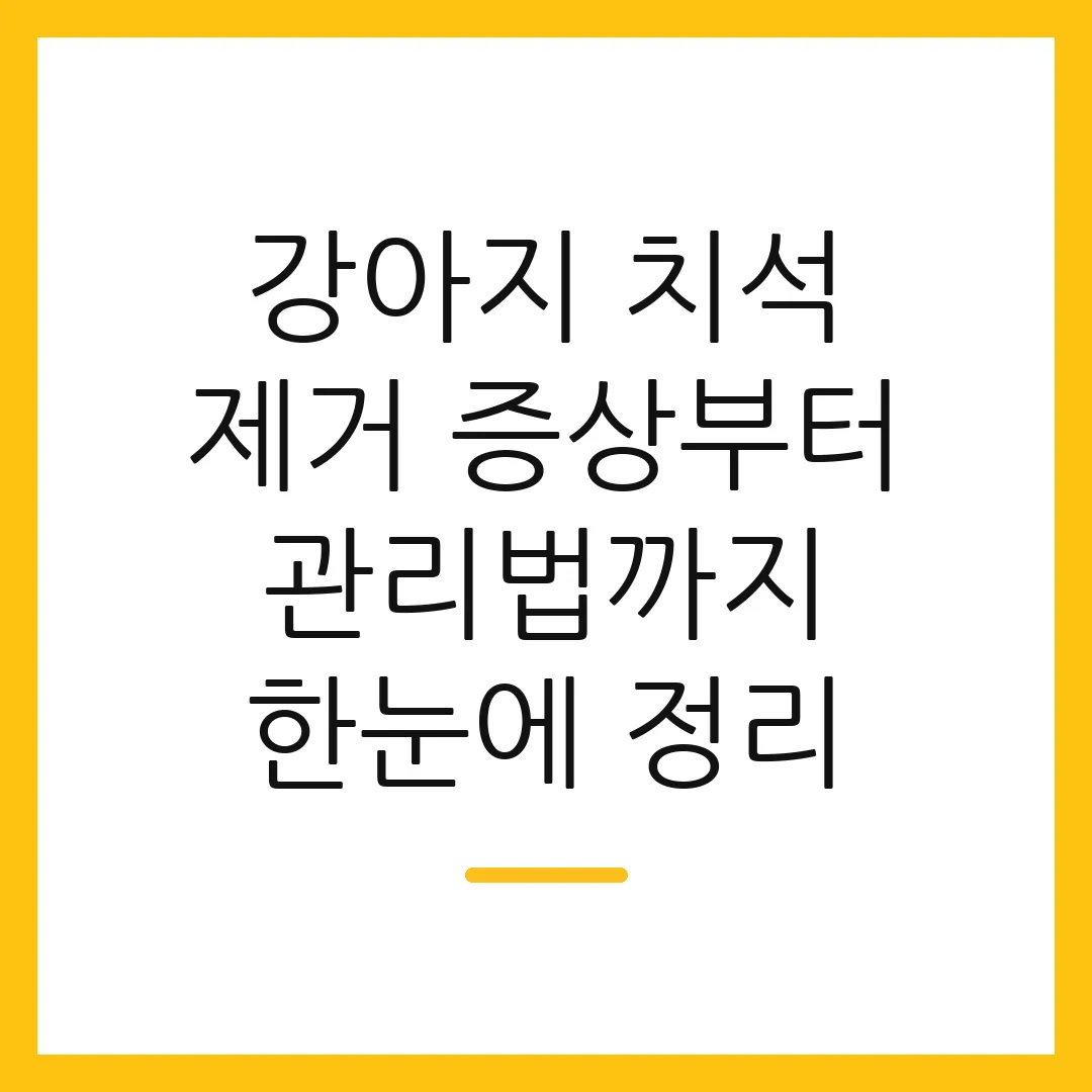 강아지 치석 제거 증상부터 관리법까지 한눈에 정리
