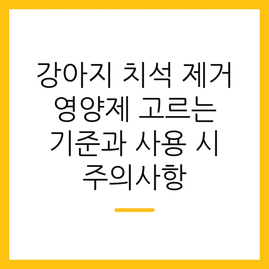 강아지 치석 제거 영양제 고르는 기준과 사용 시 주의사항