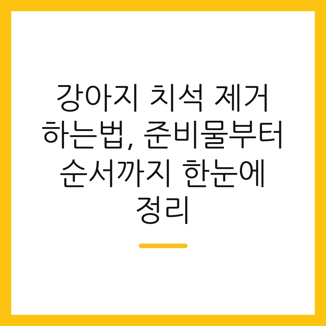 강아지 치석 제거 하는법, 준비물부터 순서까지 한눈에 정리
