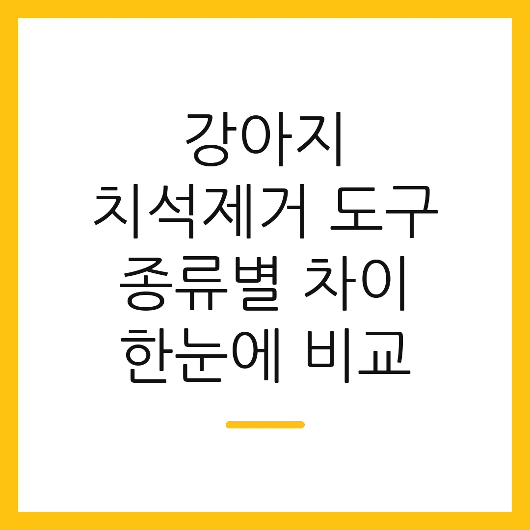 강아지 치석제거 도구 종류별 차이 한눈에 비교