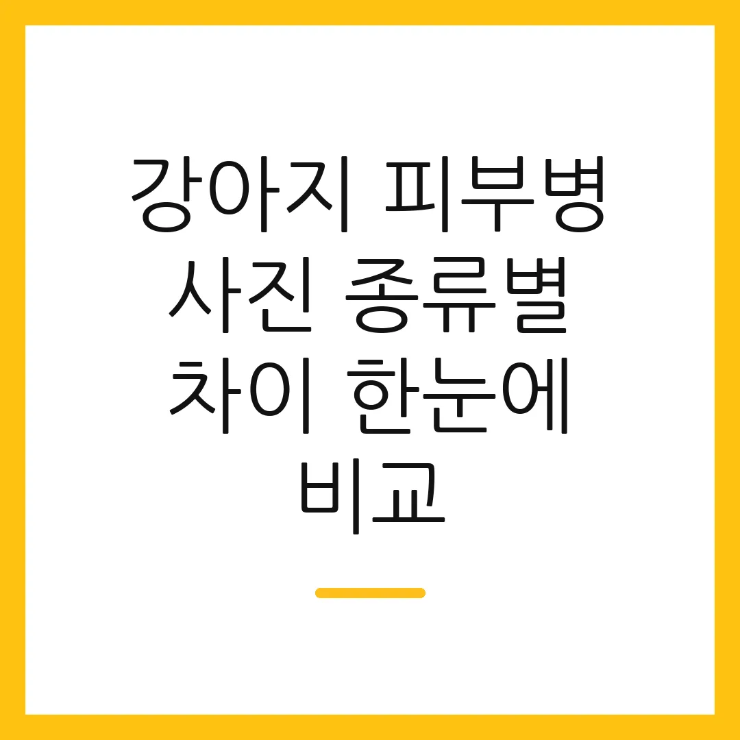 강아지 피부병 사진 종류별 차이 한눈에 비교