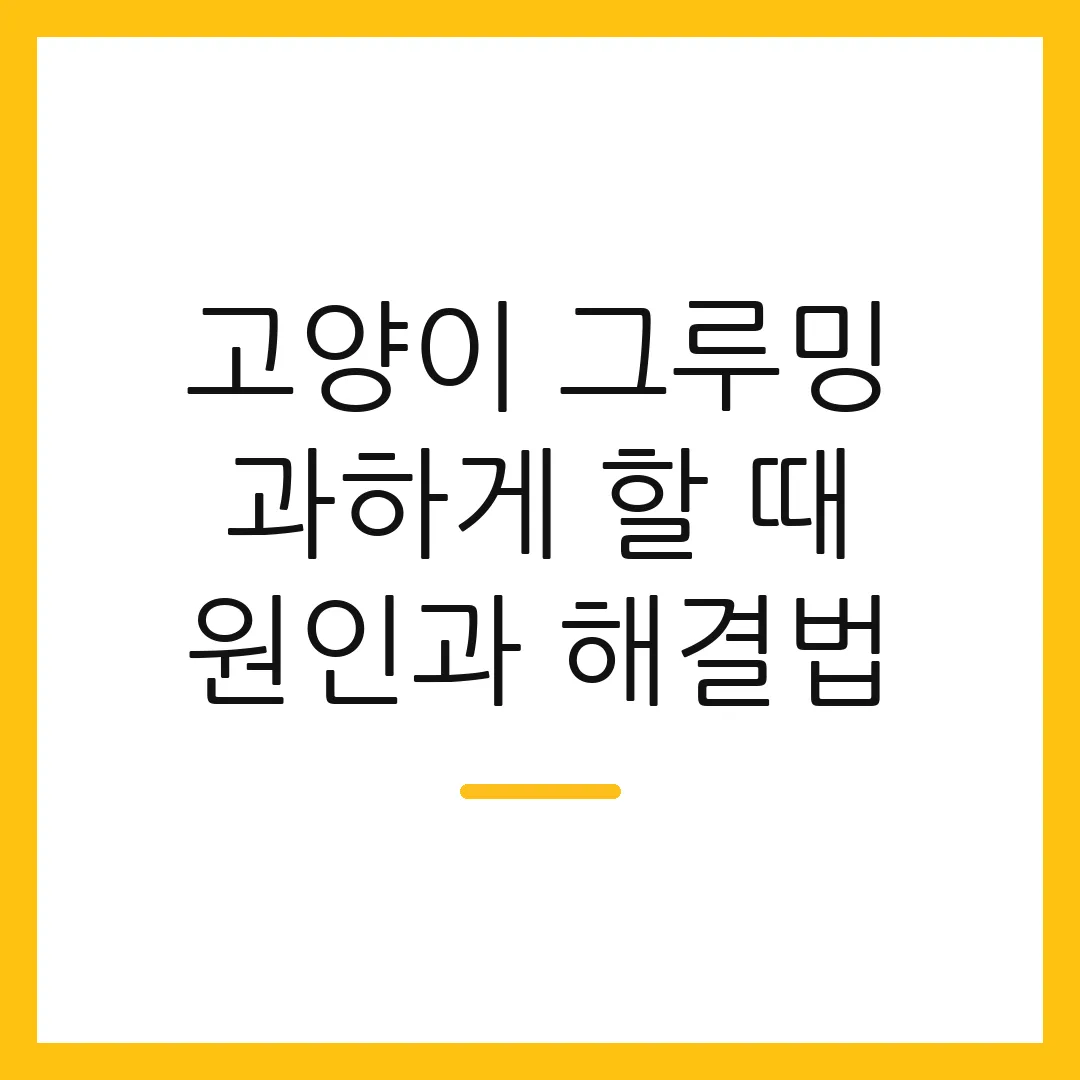 고양이 그루밍 과하게 할 때 원인과 해결법