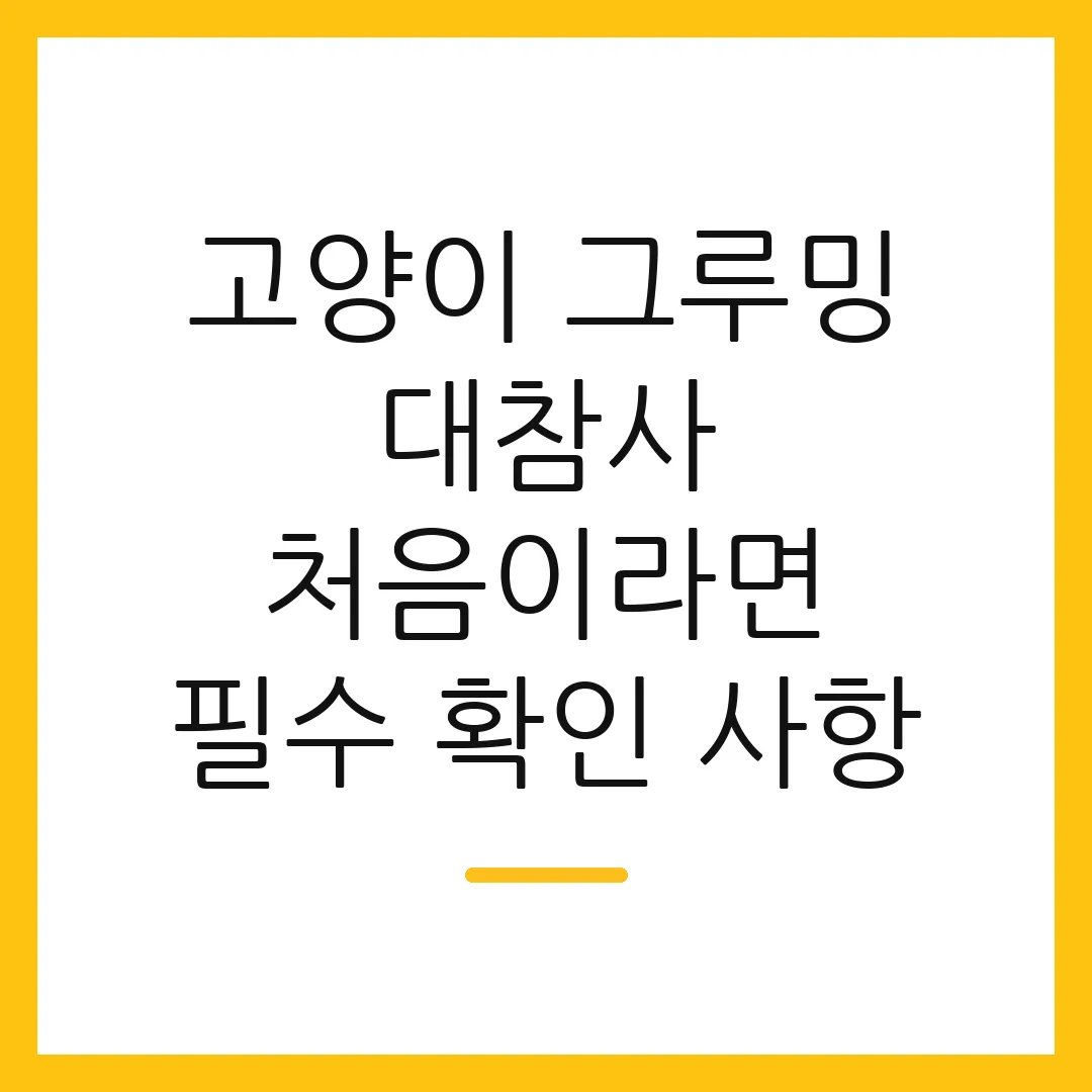 고양이 그루밍 대참사 처음이라면 필수 확인 사항