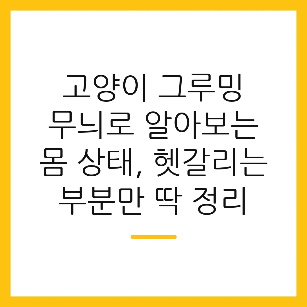 고양이 그루밍 무늬로 알아보는 몸 상태, 헷갈리는 부분만 딱 정리