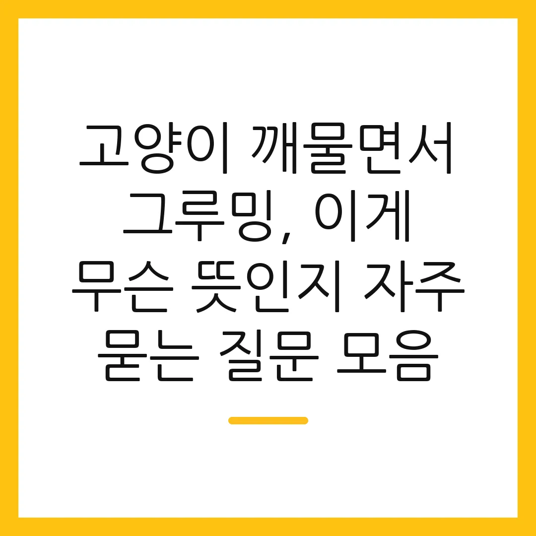 고양이 깨물면서 그루밍, 이게 무슨 뜻인지 자주 묻는 질문 모음