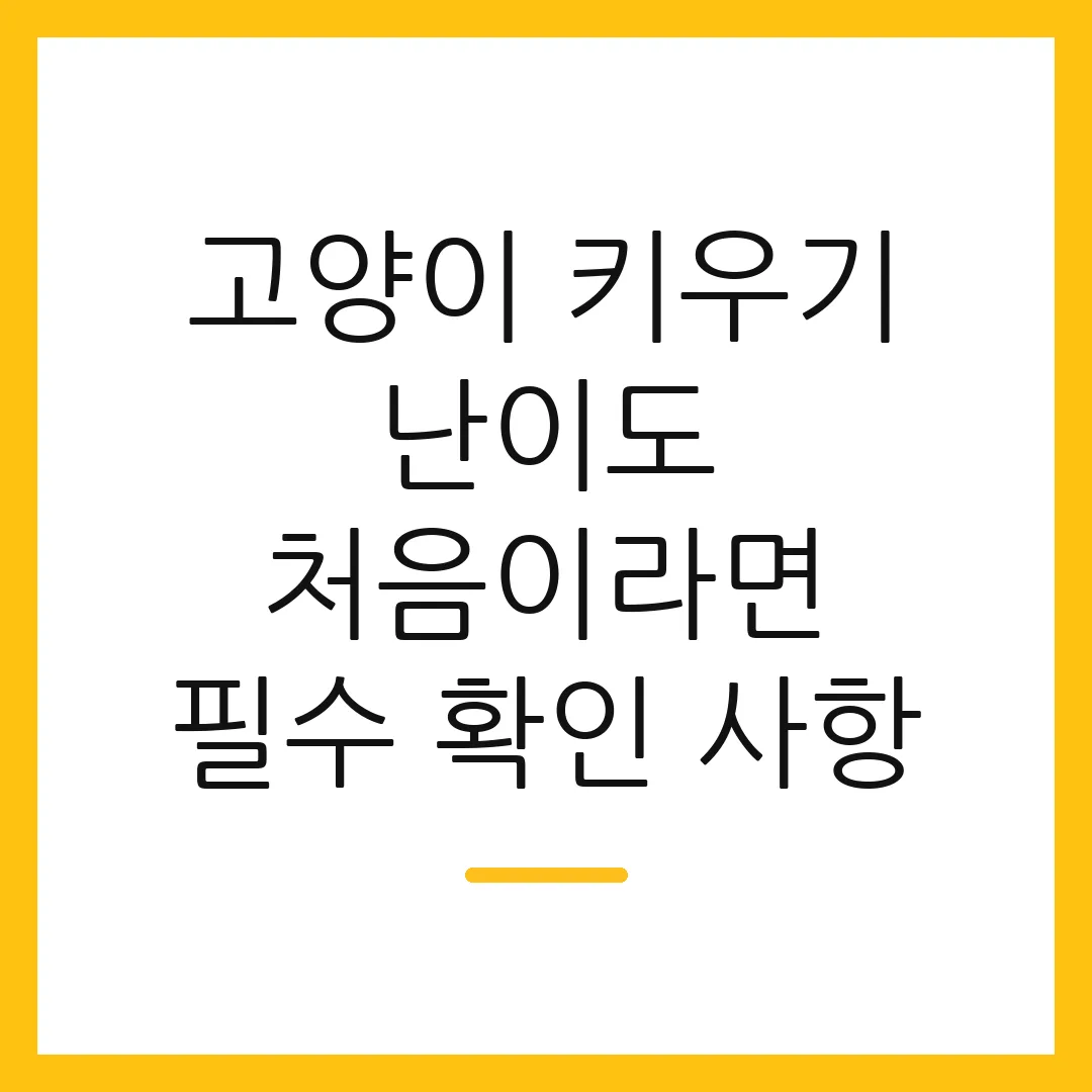 고양이 키우기 난이도 처음이라면 필수 확인 사항