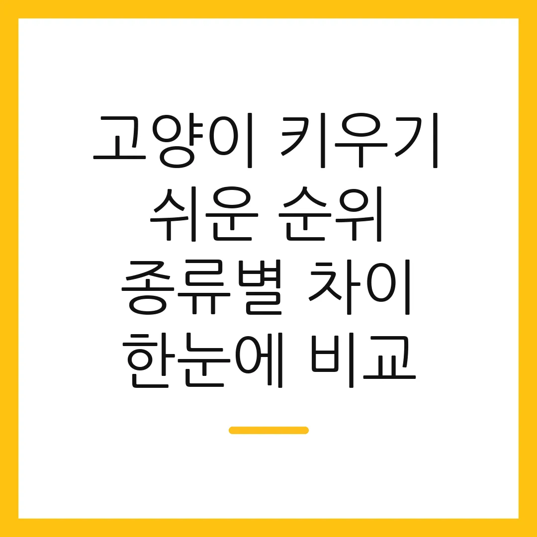 고양이 키우기 쉬운 순위 종류별 차이 한눈에 비교