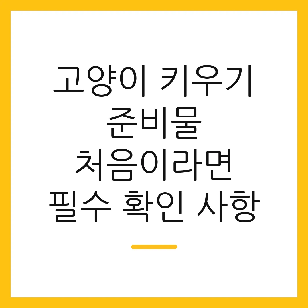 고양이 키우기 준비물 처음이라면 필수 확인 사항