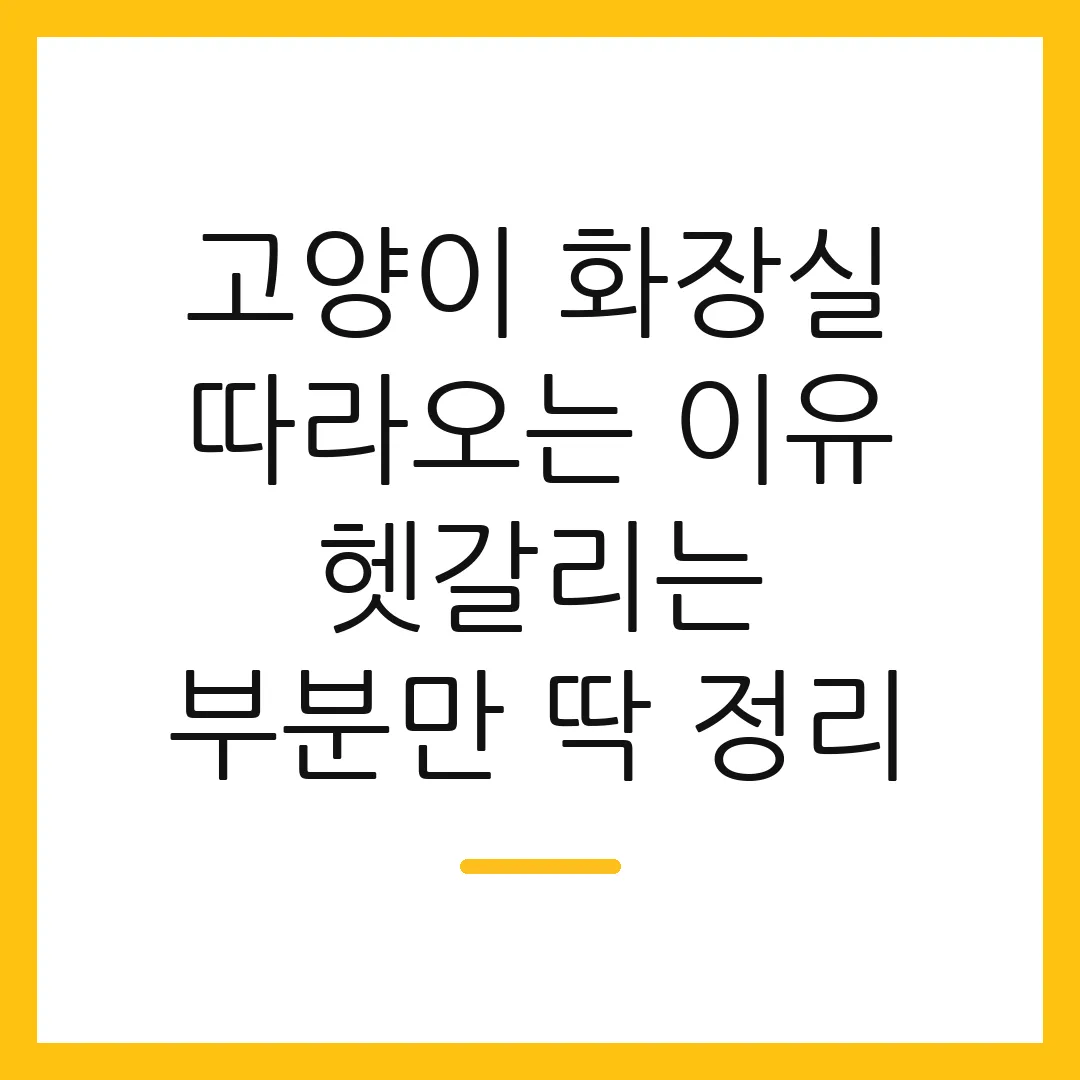 고양이 화장실 따라오는 이유 헷갈리는 부분만 딱 정리