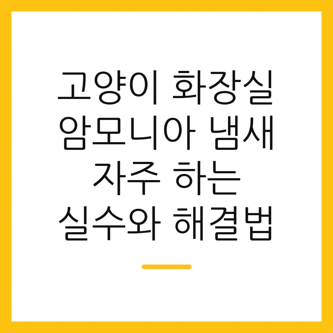 고양이 화장실 암모니아 냄새 자주 하는 실수와 해결법