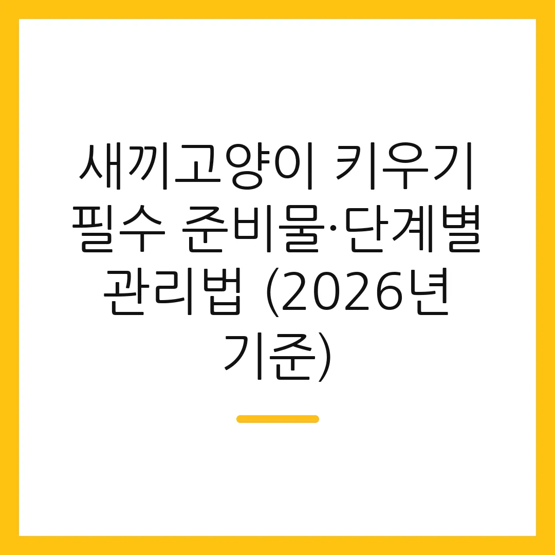 새끼고양이 키우기 필수 준비물·단계별 관리법 (2026년 기준)