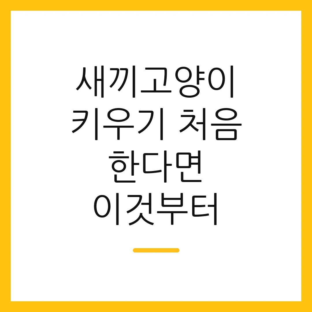 새끼고양이 키우기 처음 한다면 이것부터