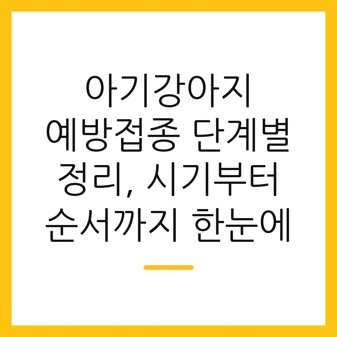 아기강아지 예방접종 단계별 정리, 시기부터 순서까지 한눈에