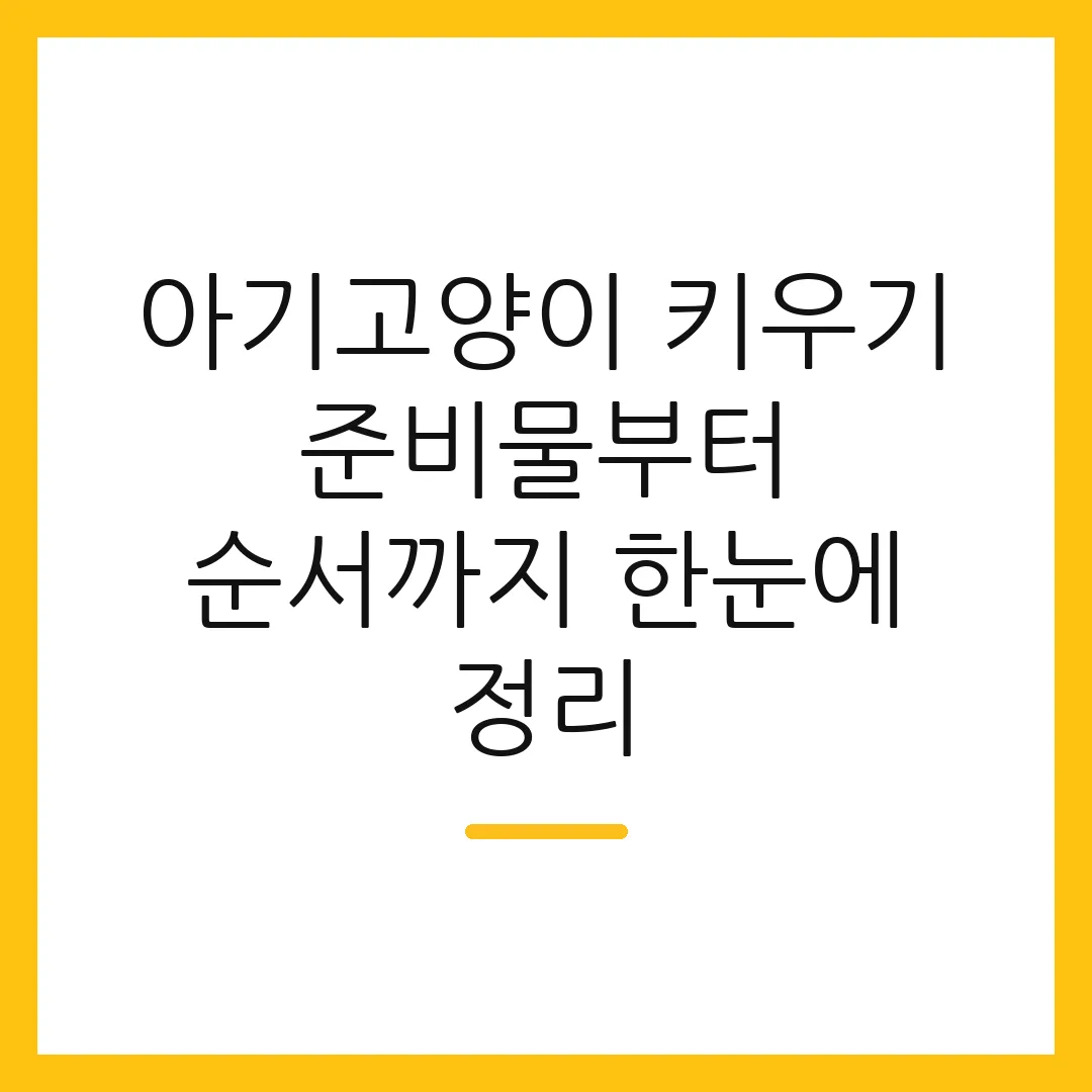 아기고양이 키우기 준비물부터 순서까지 한눈에 정리