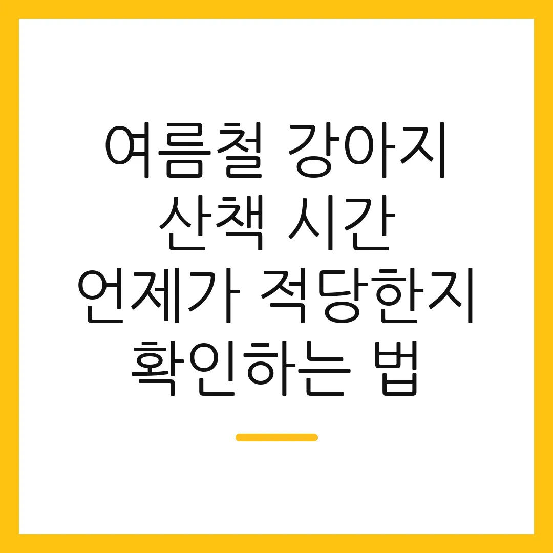 여름철 강아지 산책 시간 언제가 적당한지 확인하는 법