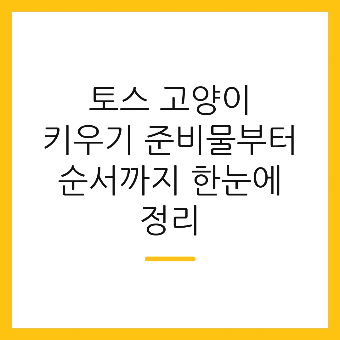 토스 고양이 키우기 준비물부터 순서까지 한눈에 정리