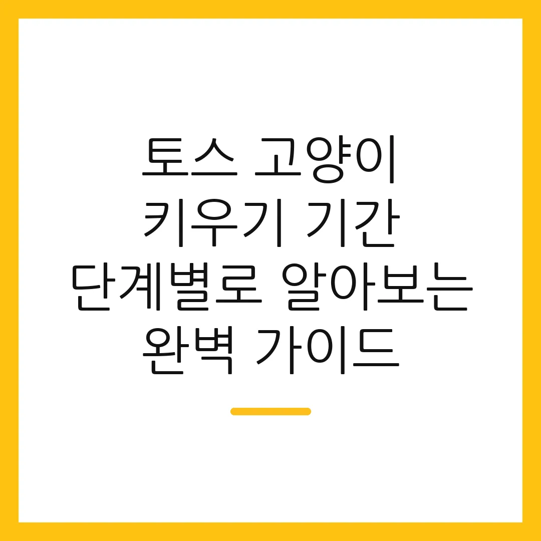 토스 고양이 키우기 기간 단계별로 알아보는 완벽 가이드
