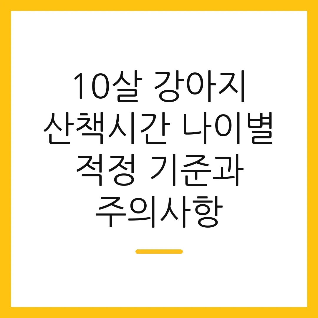 10살 강아지 산책시간 나이별 적정 기준과 주의사항
