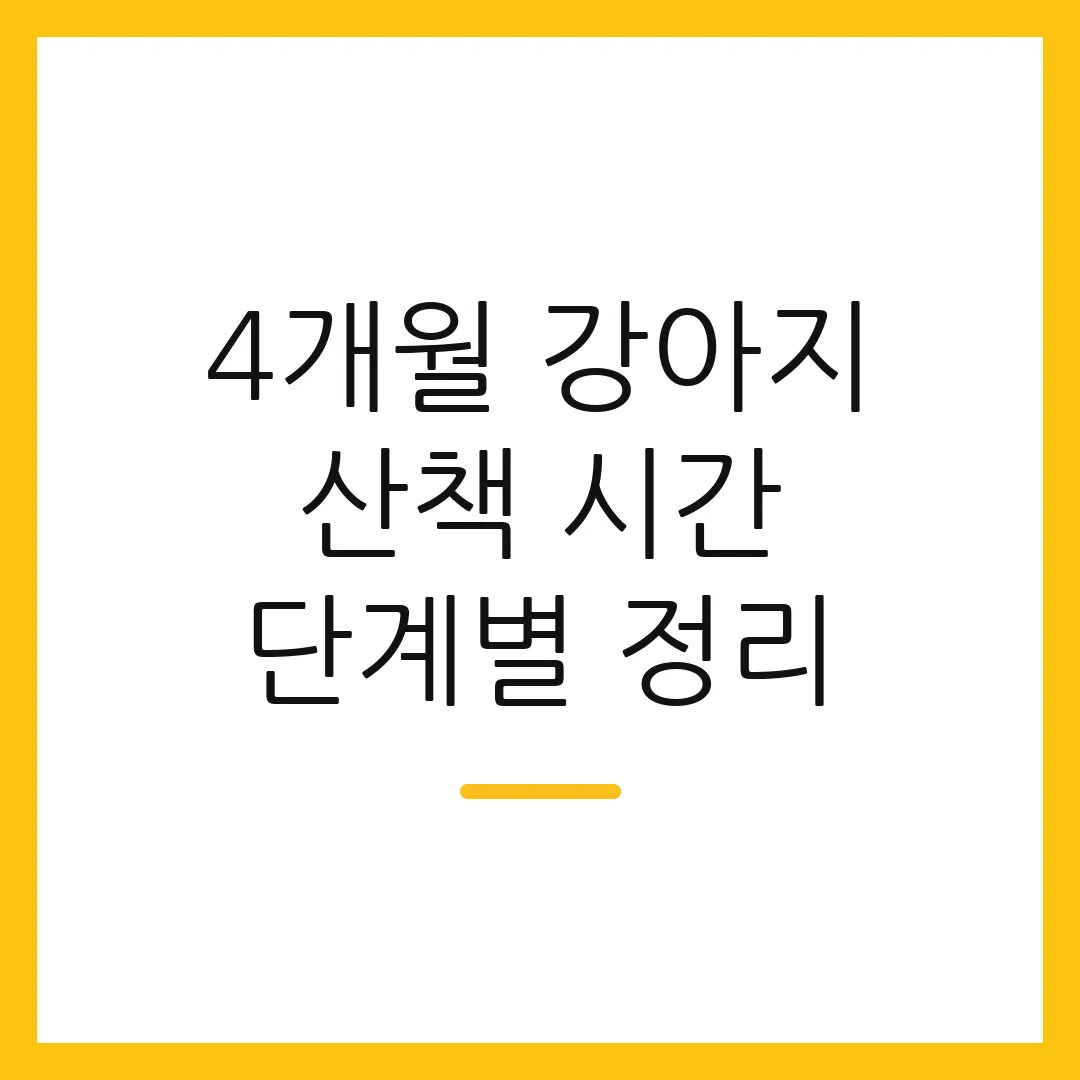 4개월 강아지 산책 시간 단계별 정리