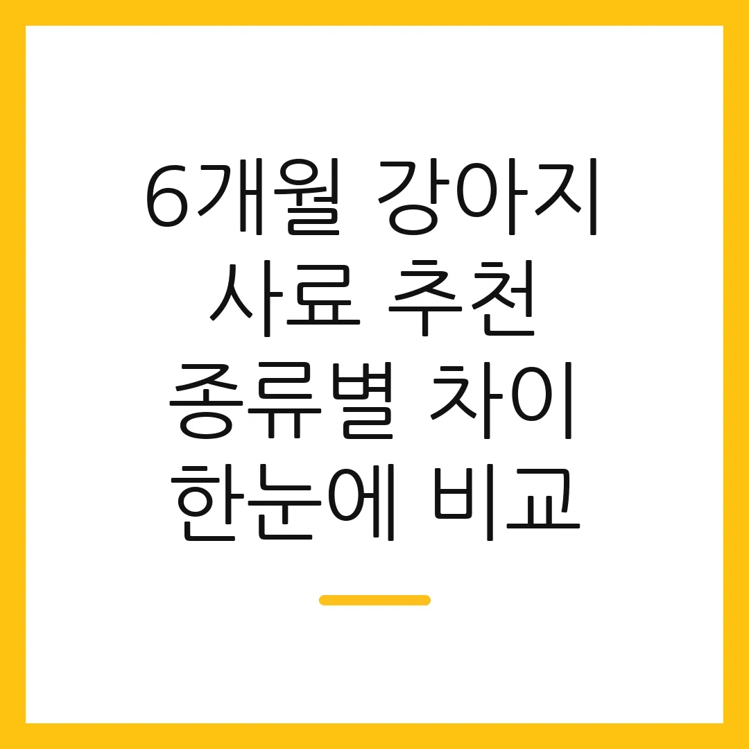 6개월 강아지 사료 추천 종류별 차이 한눈에 비교