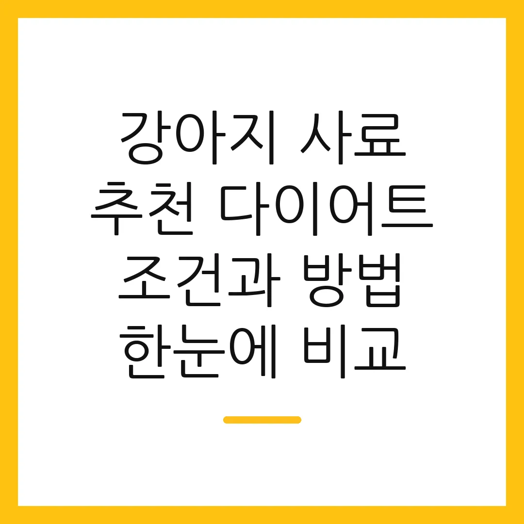 강아지 사료 추천 다이어트 조건과 방법 한눈에 비교
