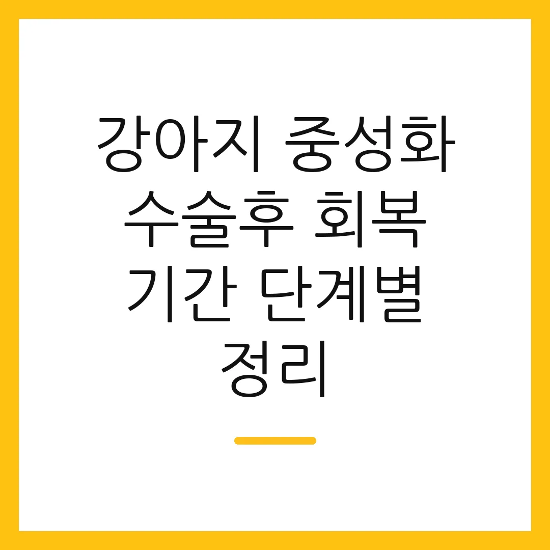 강아지 중성화 수술후 회복 기간 단계별 정리