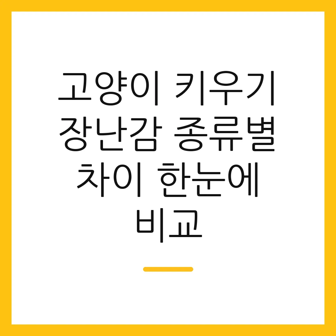 고양이 키우기 장난감 종류별 차이 한눈에 비교