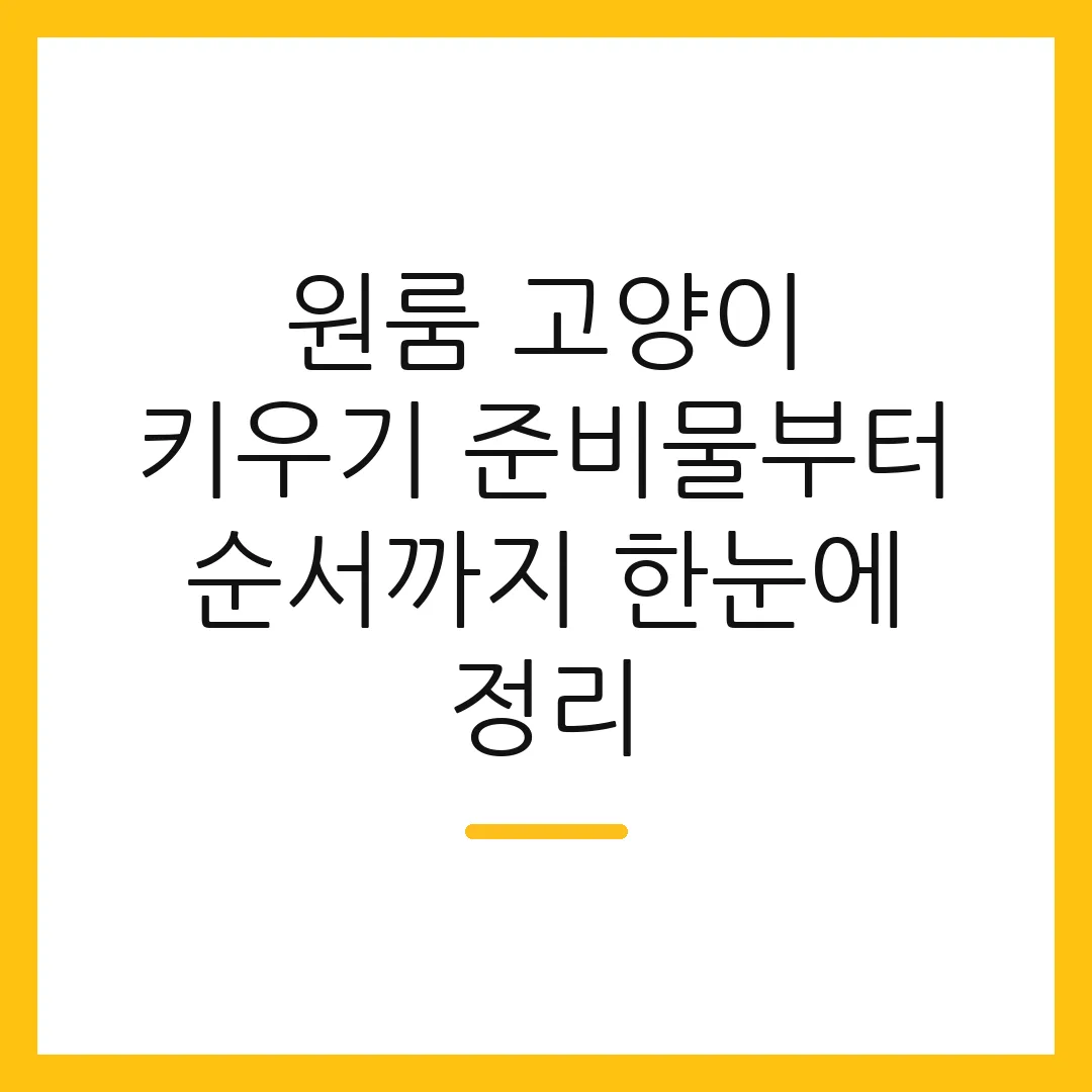 원룸 고양이 키우기 준비물부터 순서까지 한눈에 정리